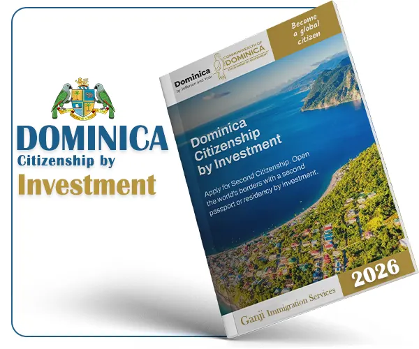 ۵ دلیل اصلی رد شدن درخواست‌های «شهروندی از طریق سرمایه‌گذاری (CBI)