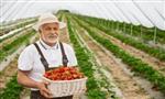 برنامه جدید مهاجرتی استان انتاریو کانادا برای بعضی مشاغل برنامه جدید مهاجرتی استان انتاریو کانادا برای بعضی مشاغل