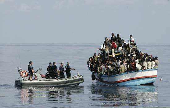 lingual immigration